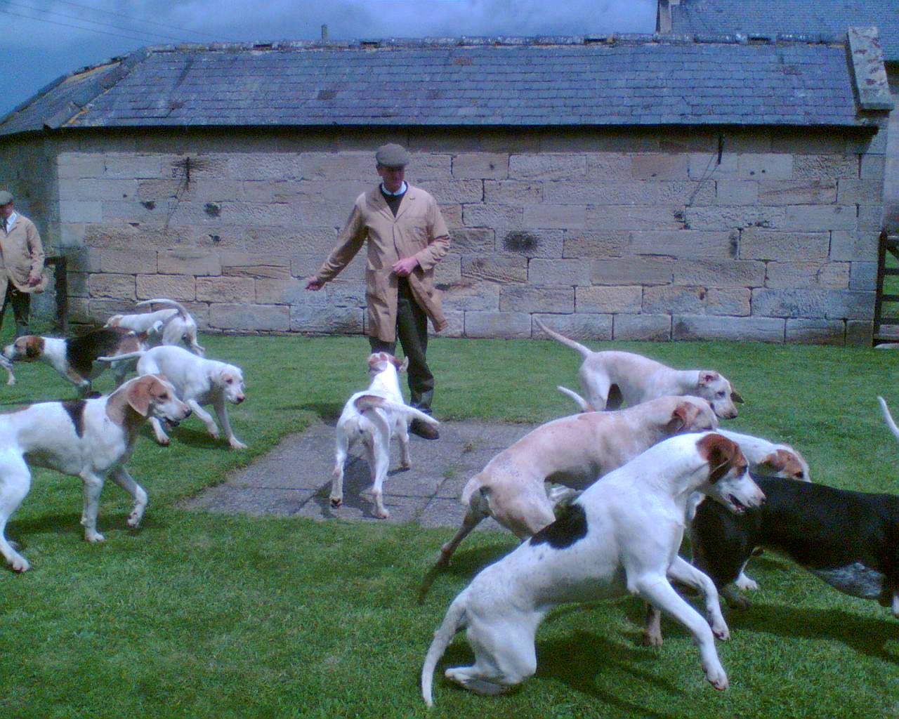 Visit to Morpeth Hunt Kennels